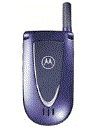Best available price of Motorola V66i in Wj