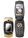Best available price of Samsung E500 in Wj